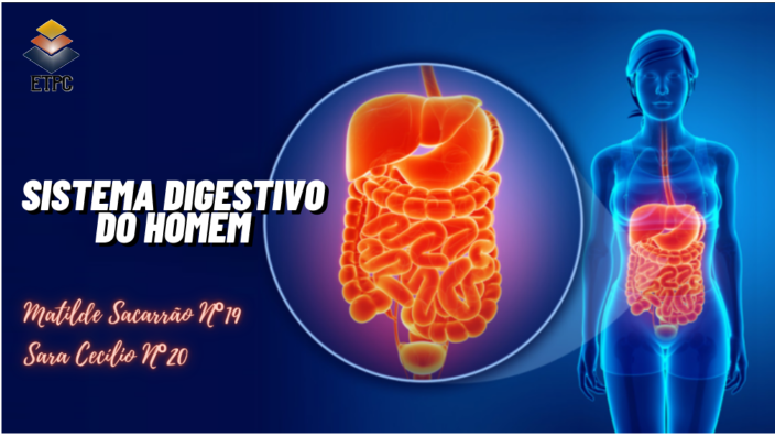 sistema digestivo do Homem by sara cecilio on Prezi