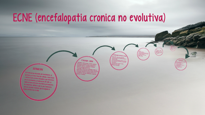 ECNE (encefalopatia cronica no evolutiva) by macarena lopez on Prezi