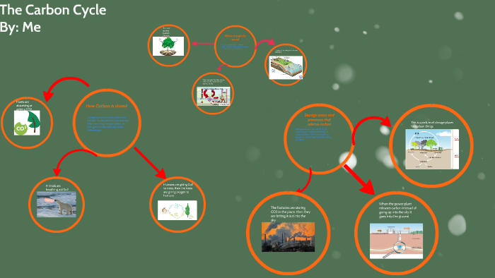 The Carbon Cycle by Stephen Dietz on Prezi