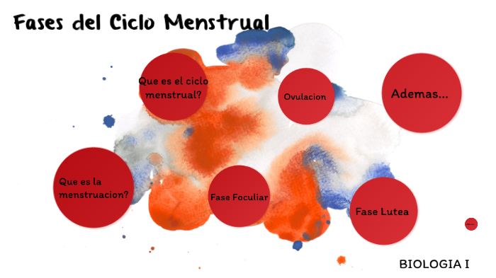 Las Fases Del Ciclo Menstrual By Ashley Molano 6291