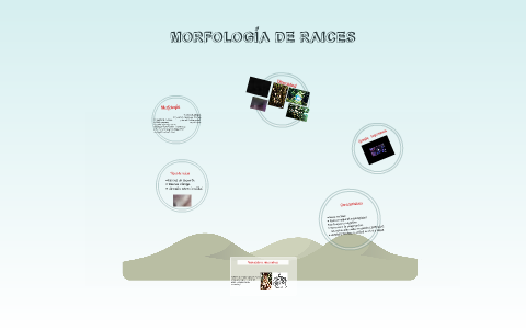 Neumatóforos, raíces aéreas by Diana Carolina on Prezi