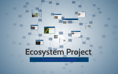 Ecosystem Project by on Prezi