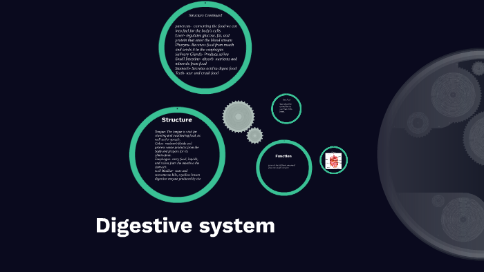 Digestive system by on Prezi