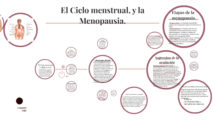 Ciclo Menstrual Y La Menopausia By Melody Tovar On Prezi 0296
