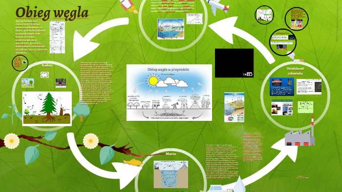 Obieg węgla by Paulina Paula on Prezi