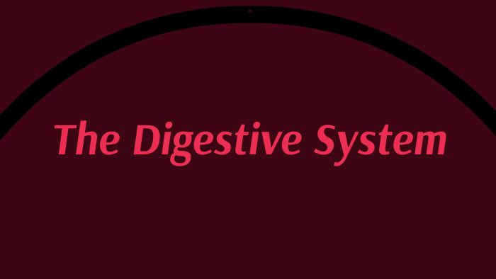 The Digestive System by on Prezi