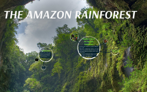THE AMAZON RAINFOREST by Dahye Choi on Prezi