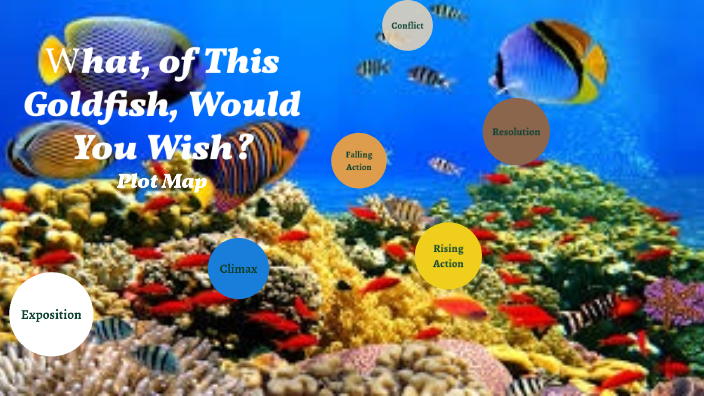 thesis for what of this goldfish would you wish