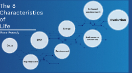 Rose Roundy 8 Characteristics Of Life By Rose