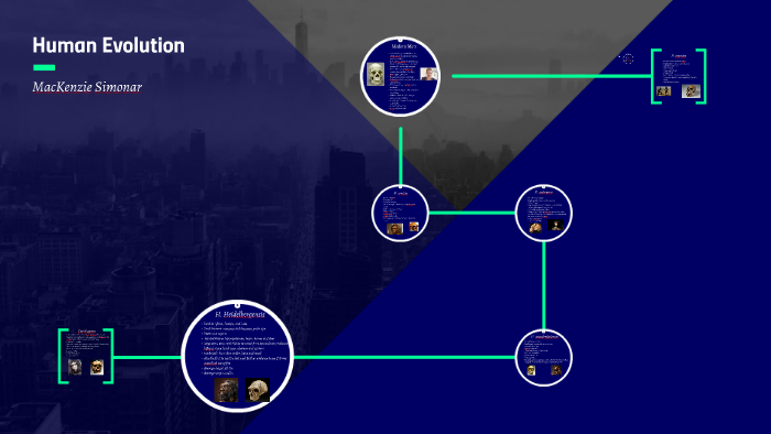 Human Evolution by on Prezi