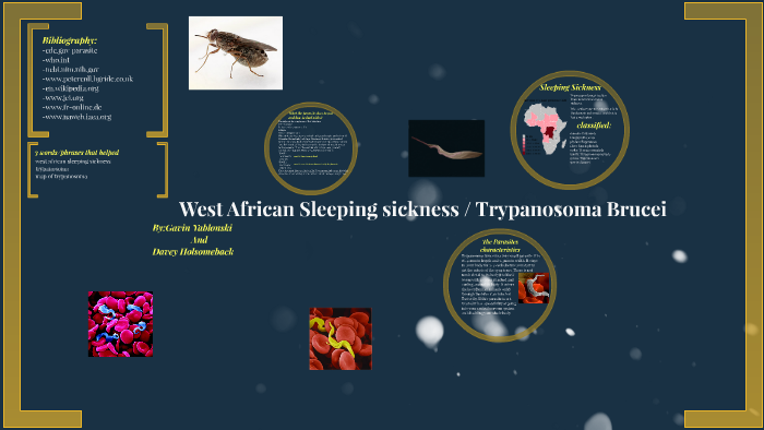 West African Sleeping sickness by tyler isknolbay on Prezi