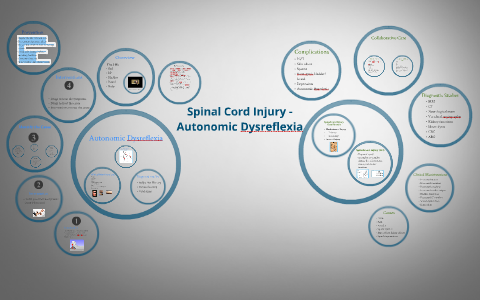 Spinal Cord Injury - Autonomic Dysreflexia by amie rae on Prezi