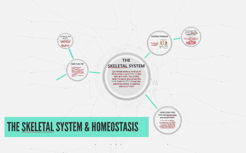 the importance of homeostasis in maintaining a healthy body