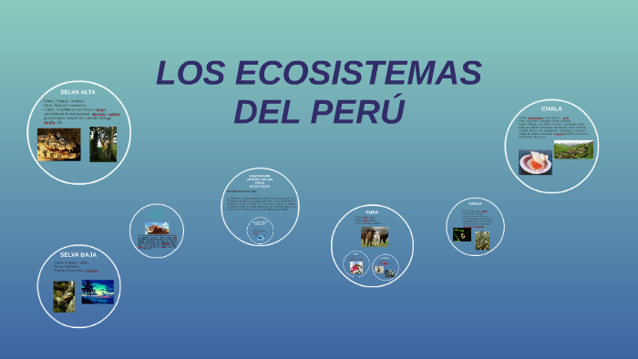 Los Ecosistemas Del PerÚ By Luis Dc 9482