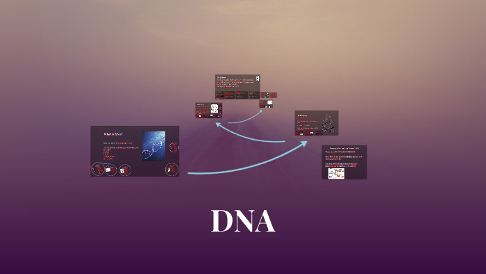 DNA by macy zwanzig on Prezi