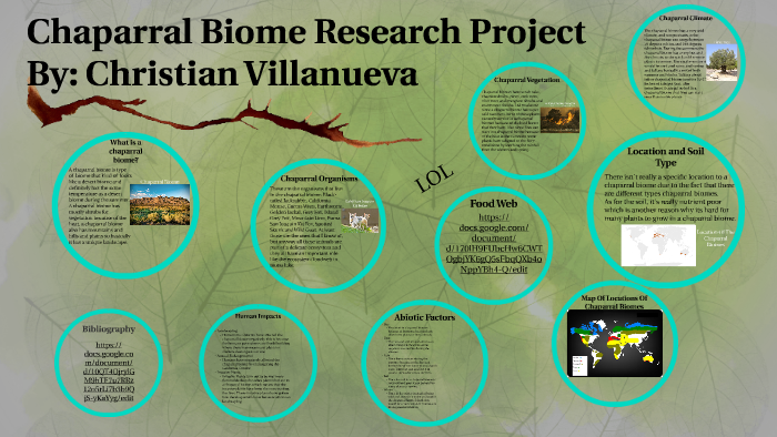 Chaparral Biome Research Project By Christian Villanueva On Prezi