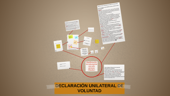 DECLARACIÓN UNILATERAL DE VOLUNTAD by Florinda Araceli Patiño Esquivel