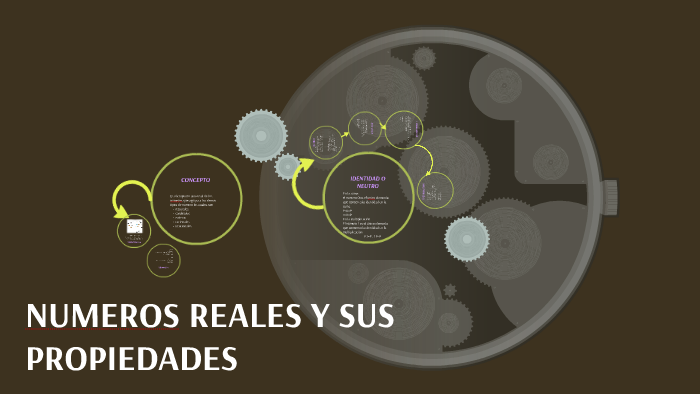 Numeros Reales Y Sus Propiedades By Francisco Valdes Garcia