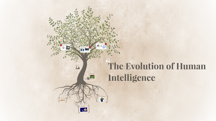 Evolution of Human Intelligence by Xi Xu on Prezi
