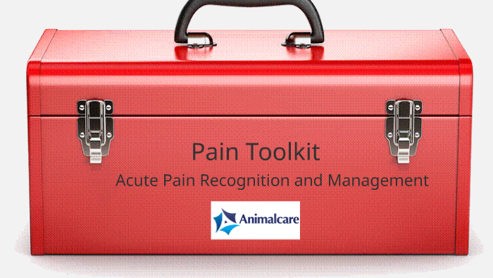 Pain Toolkit by Charlotte Merrington