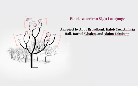 black american sign language history