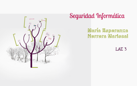 Seguridad Informática by Maria Esperanza Herrera Mariscal on Prezi