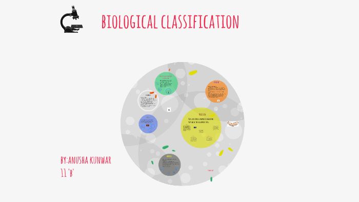 what-is-biological-classification-by-what-ever-on-prezi-next