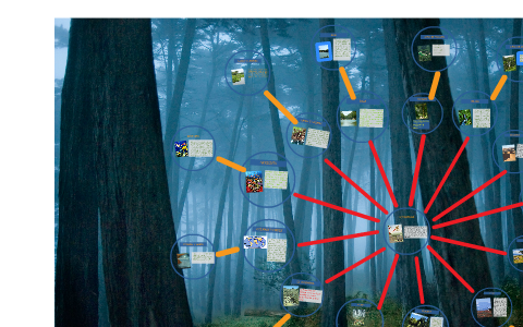 ECOSISTEMAS by on Prezi