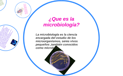 Que Es Microbiologia Su Definicion Y Significado 2019 Images