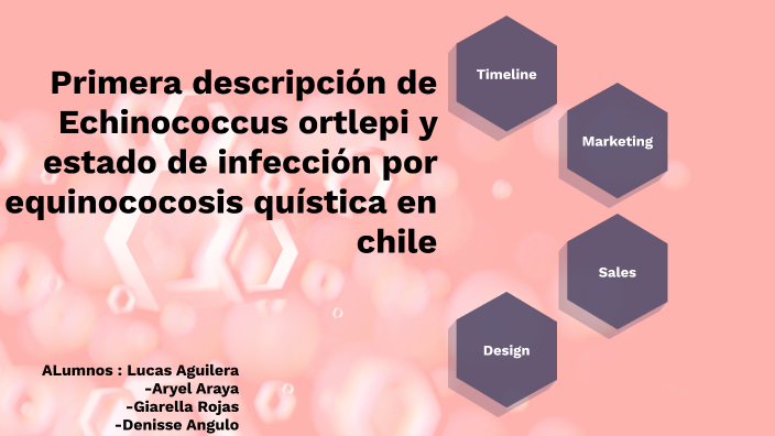 primera descripción de Echinococcus ortleppi y estado de infección por ...