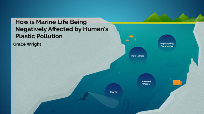 How Plastic Pollution affects Marine Life by Grace Wright on Prezi