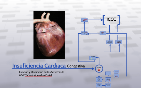 Insuficiencia Cardíaca By Tabaré Monzalvo On Prezi