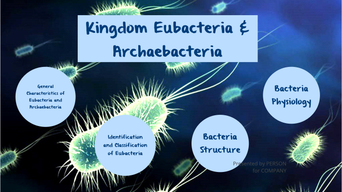 eubacteria and archaebacteria