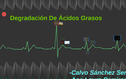 Preguntas sobre el metabolismo basal