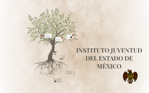 INSTITUTO JUVENTUD DEL ESTADO DE MÉXICO by laura romero