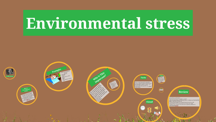 environmental-stress-by-porter-maxey