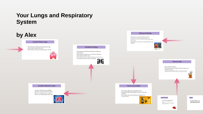 Your Lungs and Respiratory System by Alexander C on Prezi