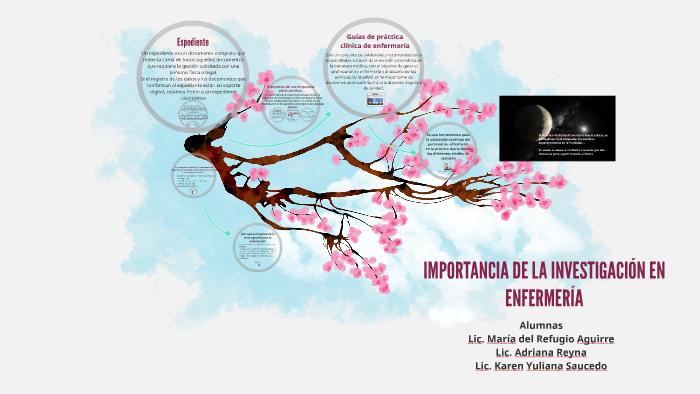 Importancia De La InvestigaciÓn En EnfermerÍa By Joaquin Bravo On Prezi