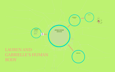 THE HUMAN BODY by on Prezi