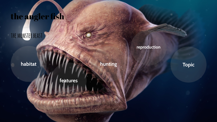 the angler fish by Adrian Durazno on Prezi