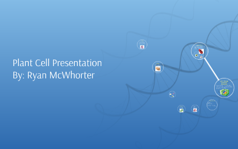 Plant Cell Presentation by Ryan McWhorter on Prezi