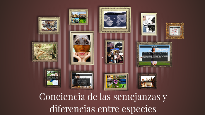 Conciencia de las semejanzas y diferencias entre especies by maria