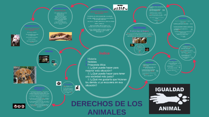 DERECHOS DE LOS ANIMALES by faty saez on Prezi