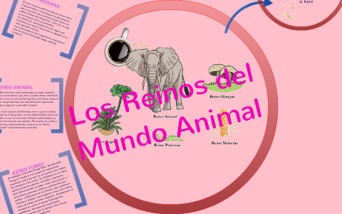 LOS REINOS DE LA NATURALEZA by Karen Daniela Cardona on Prezi