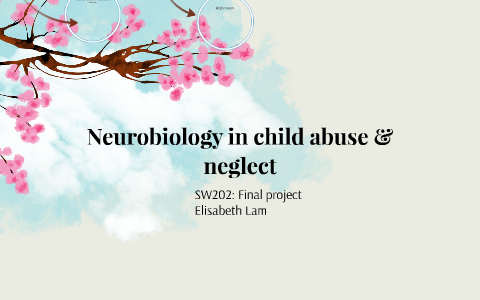 The Neurobiology of the "Attention Gap": HPA Axis Dysregulation