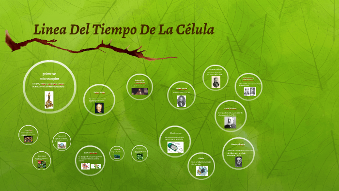 Linea Del Tiempo De La Celula by duverney diaz cano on Prezi