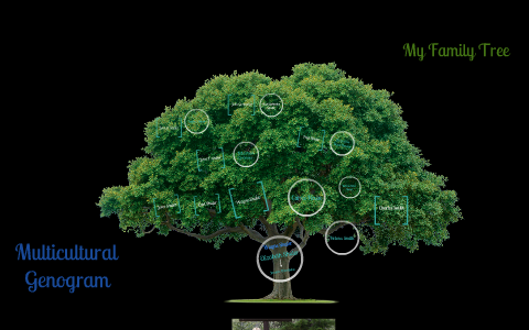 Multicultural Genogram 1 by Liz Shuler on Prezi