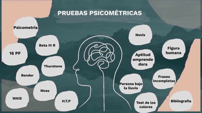 PsicometrÍa EvaluaciÓn Y Pruebas PsicomÉtricas Y El Ambiente En La AplicaciÓn De PsicometrÍa By 2732