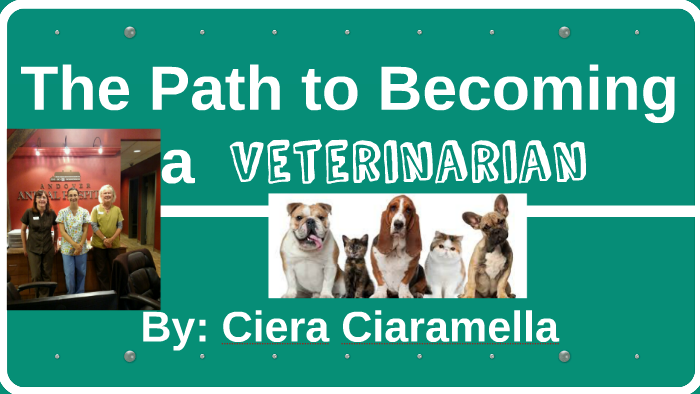 The Path To Becoming A Veterinarian By Ciera CIA On Prezi