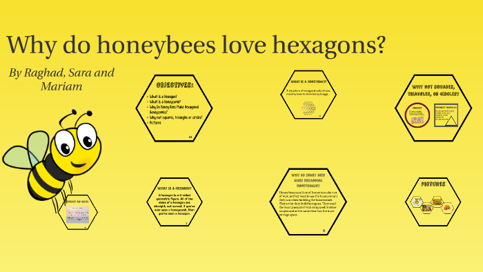 Why Do Honey Bees Love Hexagons By Raghad Ismail On Prezi